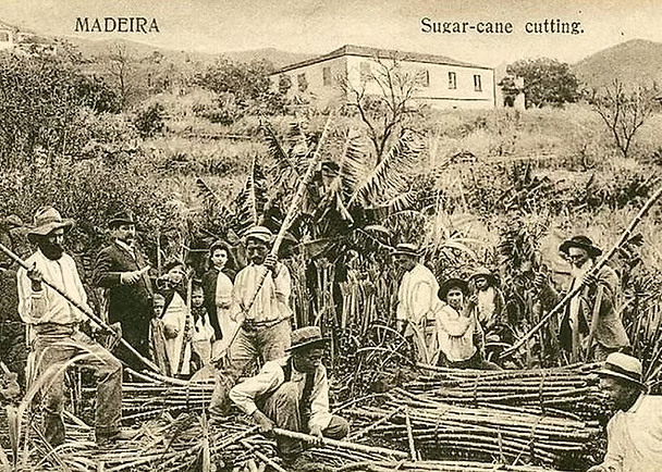 Portuguese Culture and Historical Center